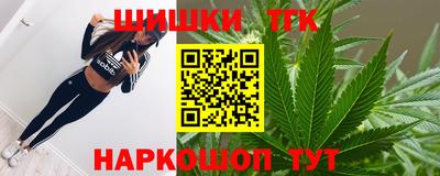 индика Ирбит