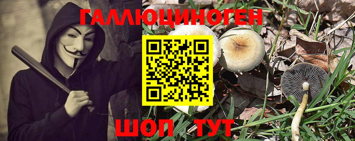 Москва  как найти наркотики  Вход с VPN  Галлюциногенные грибы GOLDEN TEACHER 